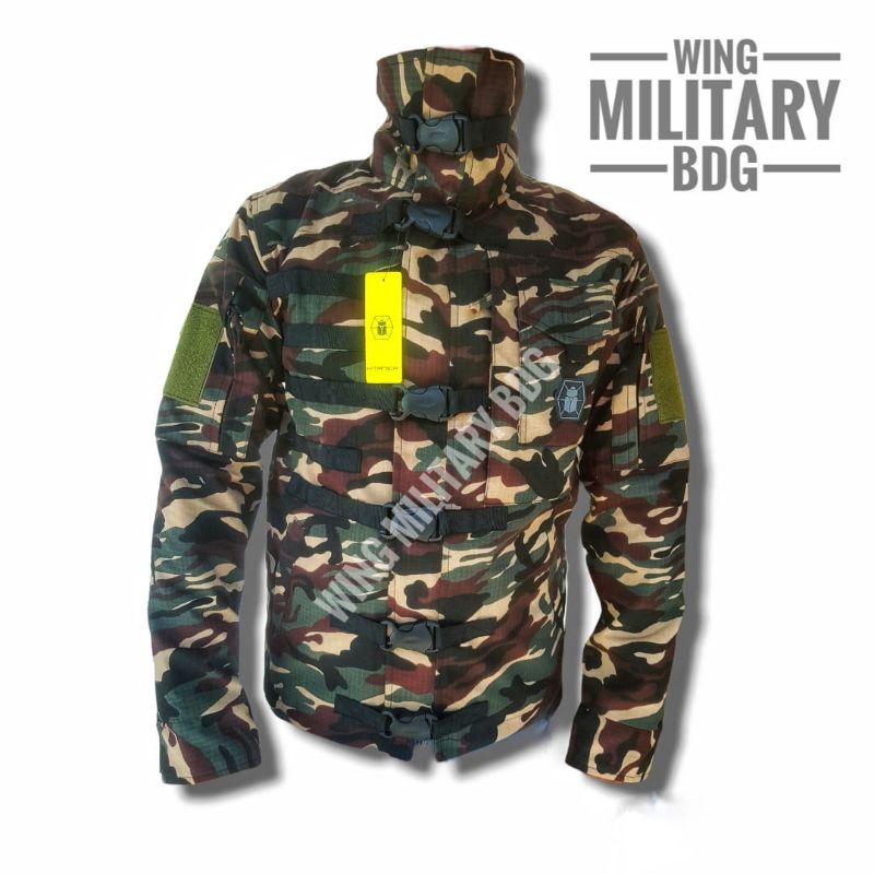 jaket loreng Terbaru