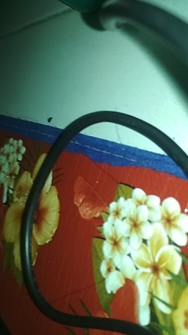 Pisau Dapur - Pisau Untuk Kupas Sayur Dan Buah Stainless Steel - Hg