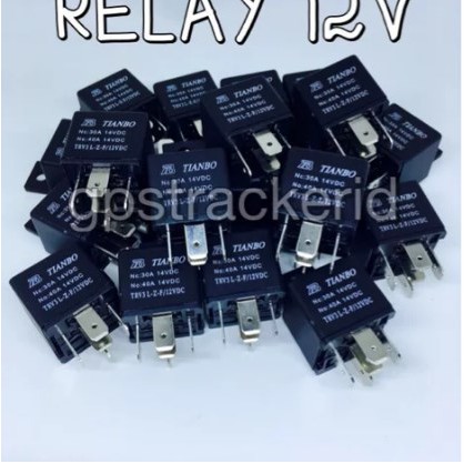 Relay 12 Volt Gt06n Et200