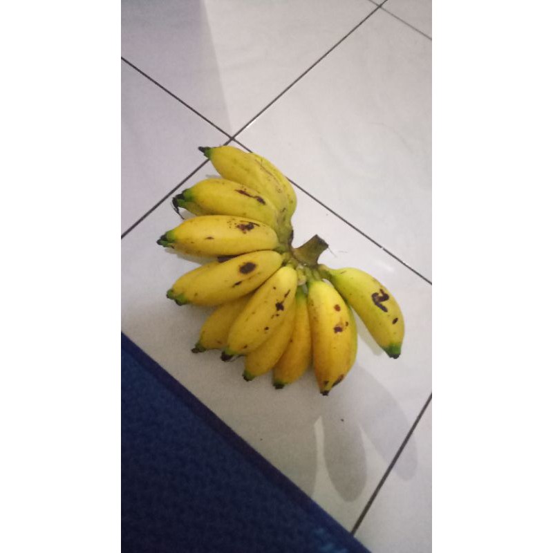 

pisang