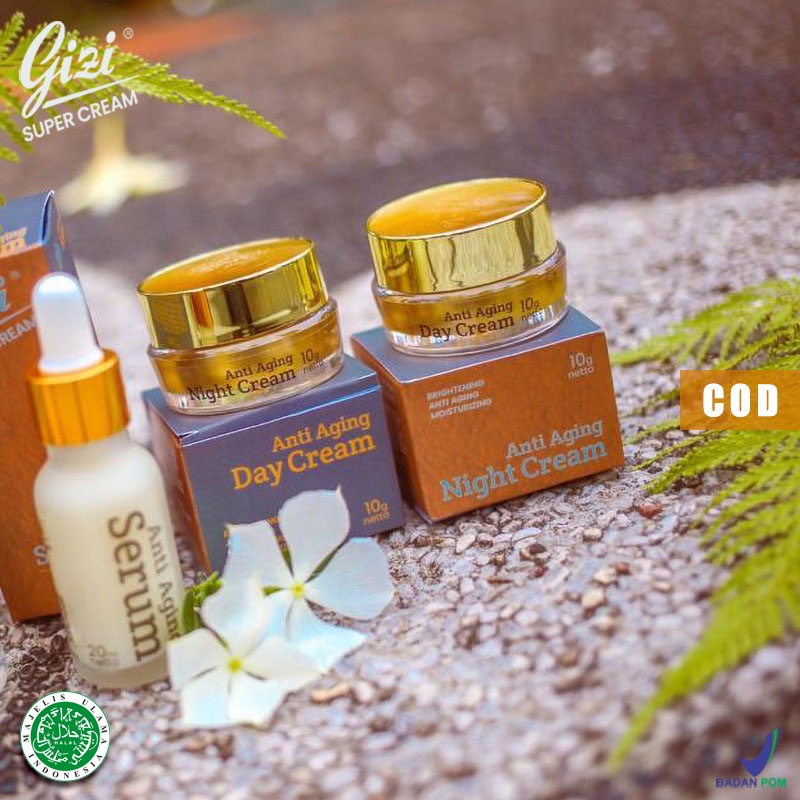 Paket Gizi Super Cream - Anti Aging Series - Meratakan Menyamarkan Merawat Pelembab Pencerah Kulit W