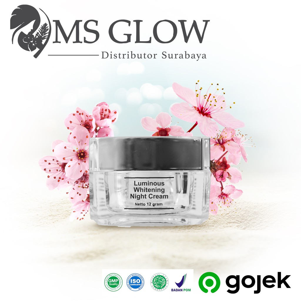 Ms Glow Luminous Whitening Night Cream Shopee Indonesia