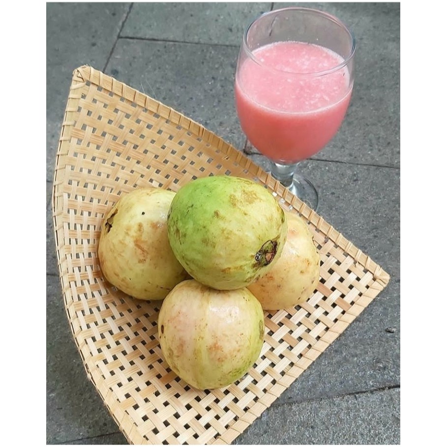 

Jambu Biji Merah
