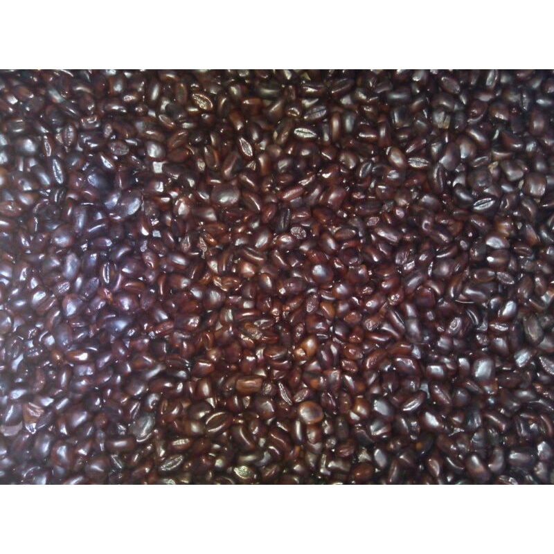 

600 kurleb biji asem jawa/500gram cuci bersih dan kering