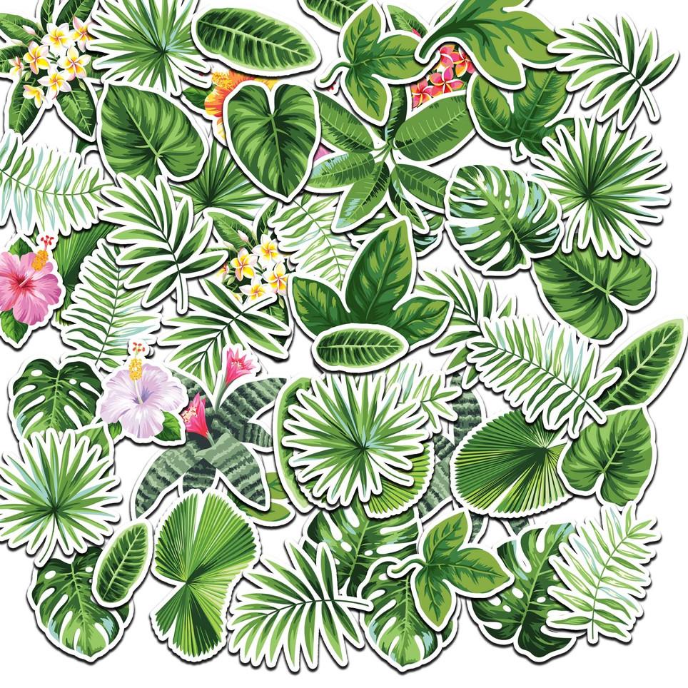 

Paling Laris 55 PCS STIKER MOTIF DAUN BISA UNTUK LAPTOP HP JURNAL Scrapbook Diary Album Foto