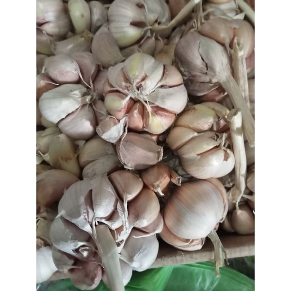 

Bawang putih bersih 1 KG timbangan akurat