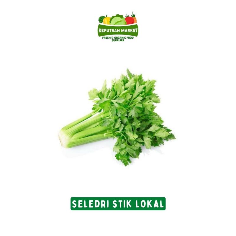 

Celery / Seledri Stick 500 Gram / Produk Langka