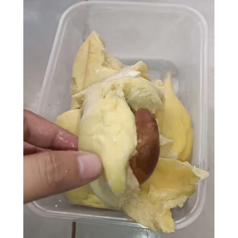 

Durian Montong Palu