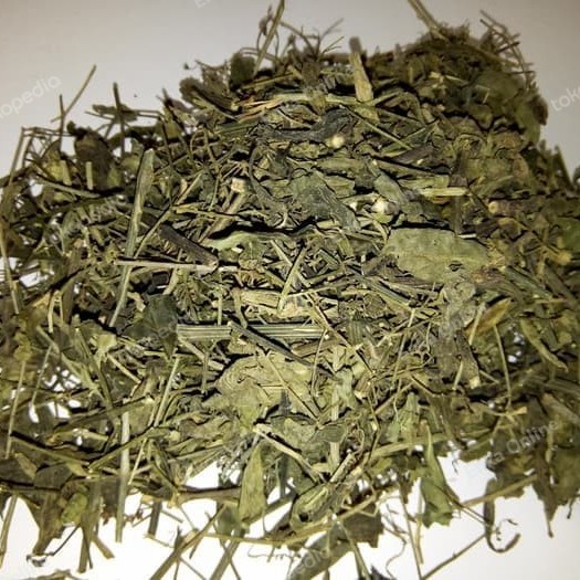 

herbal sambiloto kering pasar online makassar