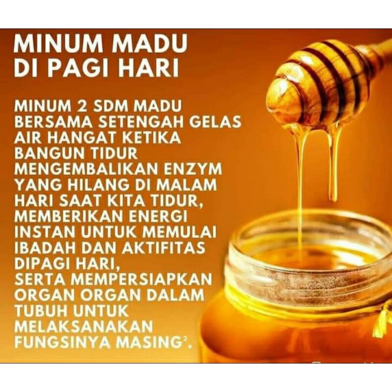 

Madu Blachoney Jambi