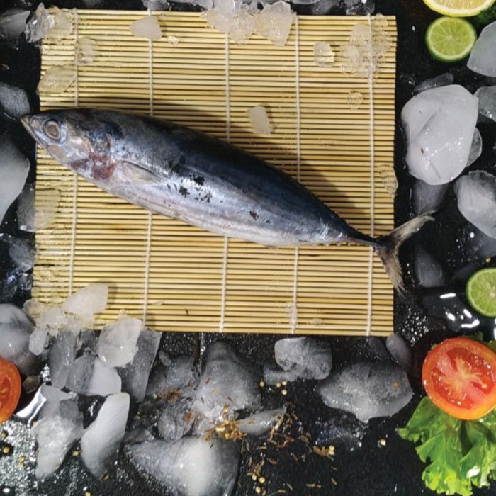 

IKAN TONGKOL SEGAR - 1000-1100gr