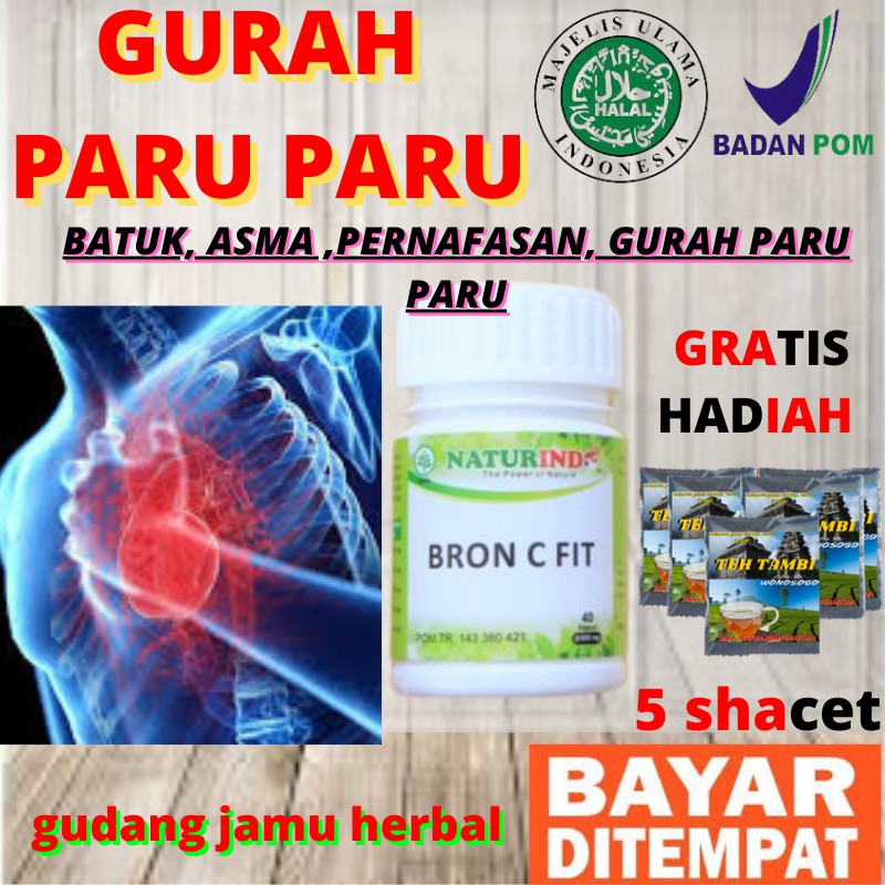 Obat Sesak Nafas Herbal Sesak Nafas Gurah Paru Paru Batuk Berdahak Asma Perokok Berat Alami Ampuh-4