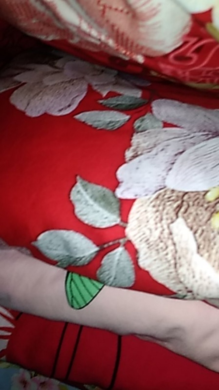 Biosibedding Sprei Katun Jepang Original Motif Pernikahan Custom Rumbai Rempel King Queen Size Murah