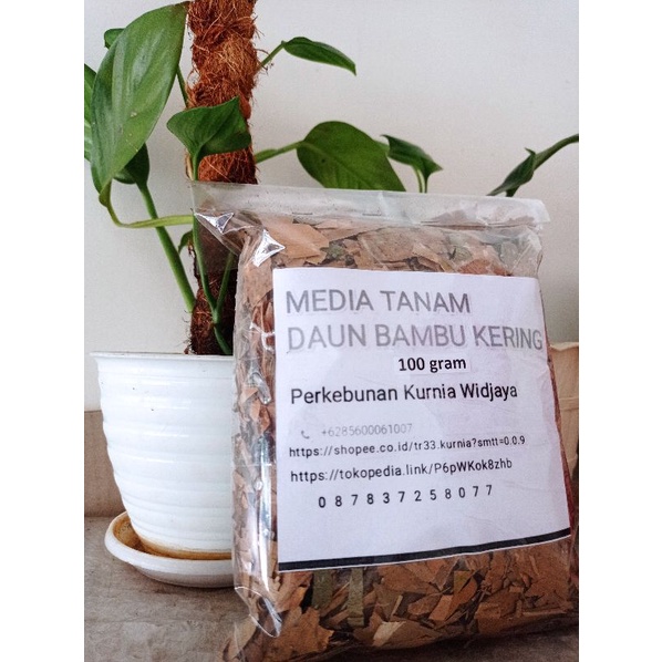 Media Tanam daun Bambu murah Kompos daun bambu kering (pupuk alami daun bambu kering)
