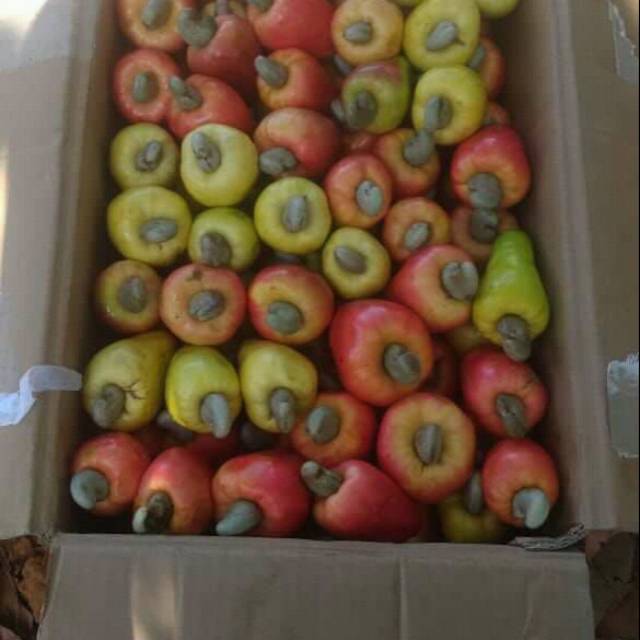 Jambu mete 1kg