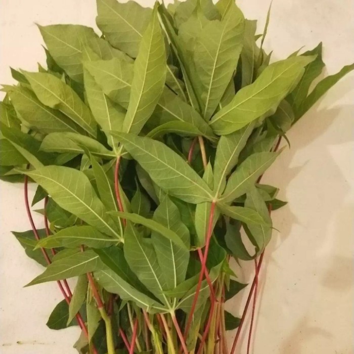 

daunn singkong sayur kemasan 500gram