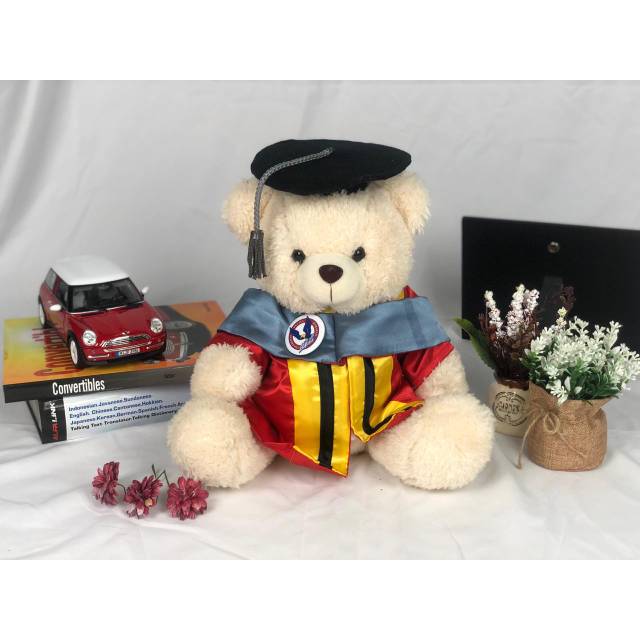 Bella Bear 30cm wisuda UPH (univ pelita harapan)