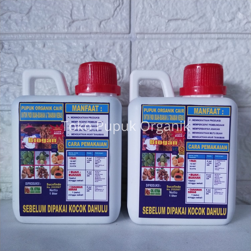 Pupuk Organik Cair (POC) BIOGAN UNTUK BUDIDAYA BUAH MANGGA