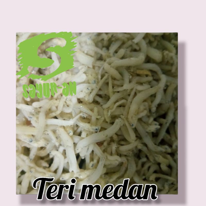 

teri medan