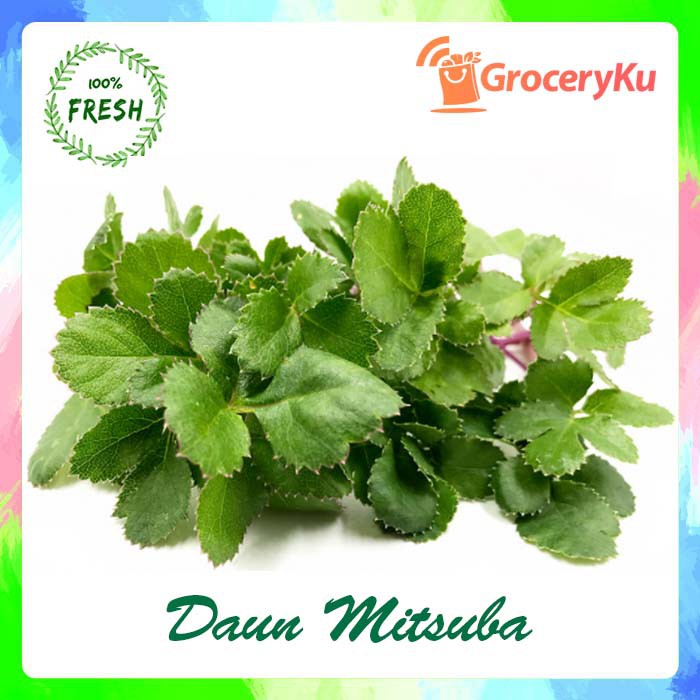 

DAUN MITSUBA SEGAR/FRESH (PACK/IKAT)