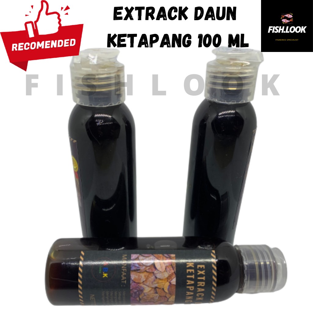 Ekstrak Daun Ketapang 100 ml Hitam Pekat Tanpa Minyak Kualitas Super Extract Extrak