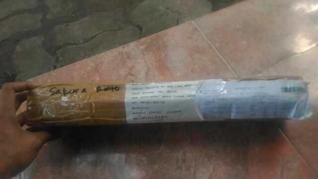 Sakura Mikro Sakura Jepang Bibit Bonsai