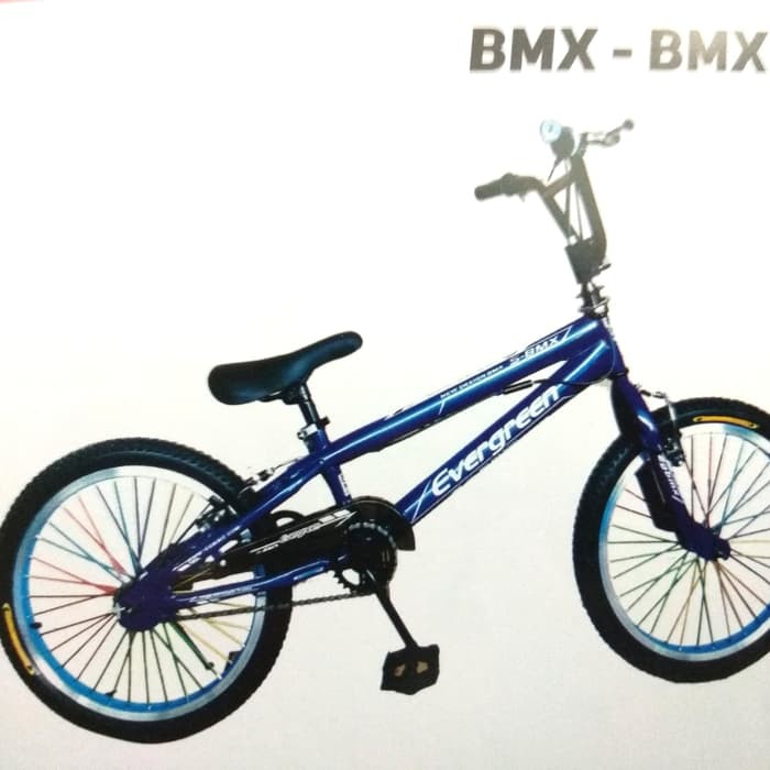 Unik sepeda anak BMX 20 inch Evergreen Rotor Berkualitas