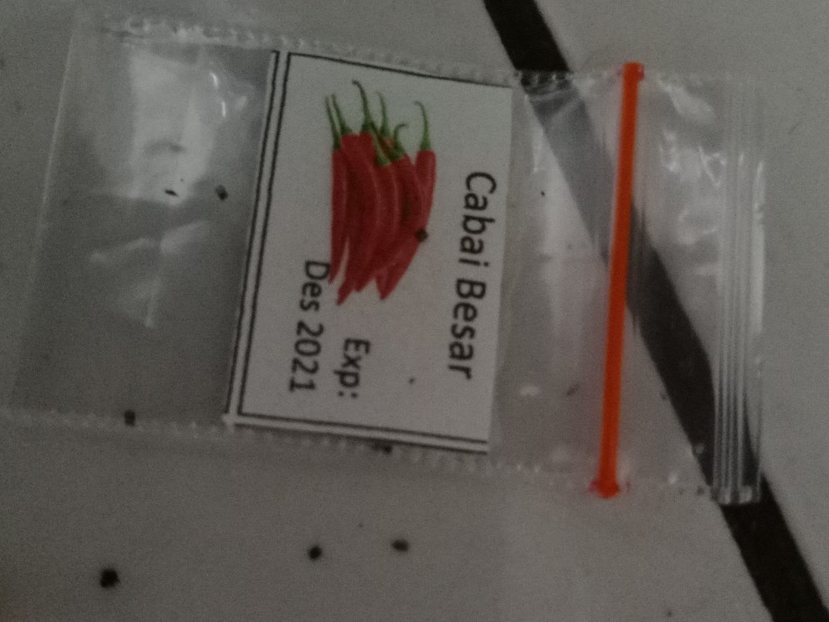 Isi 10 Biji- Benih Unggul Cabe/cabai Besar