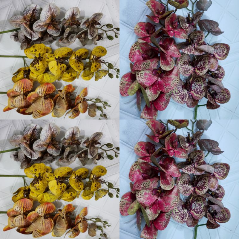 Anggrek latex premium jumbo 9k