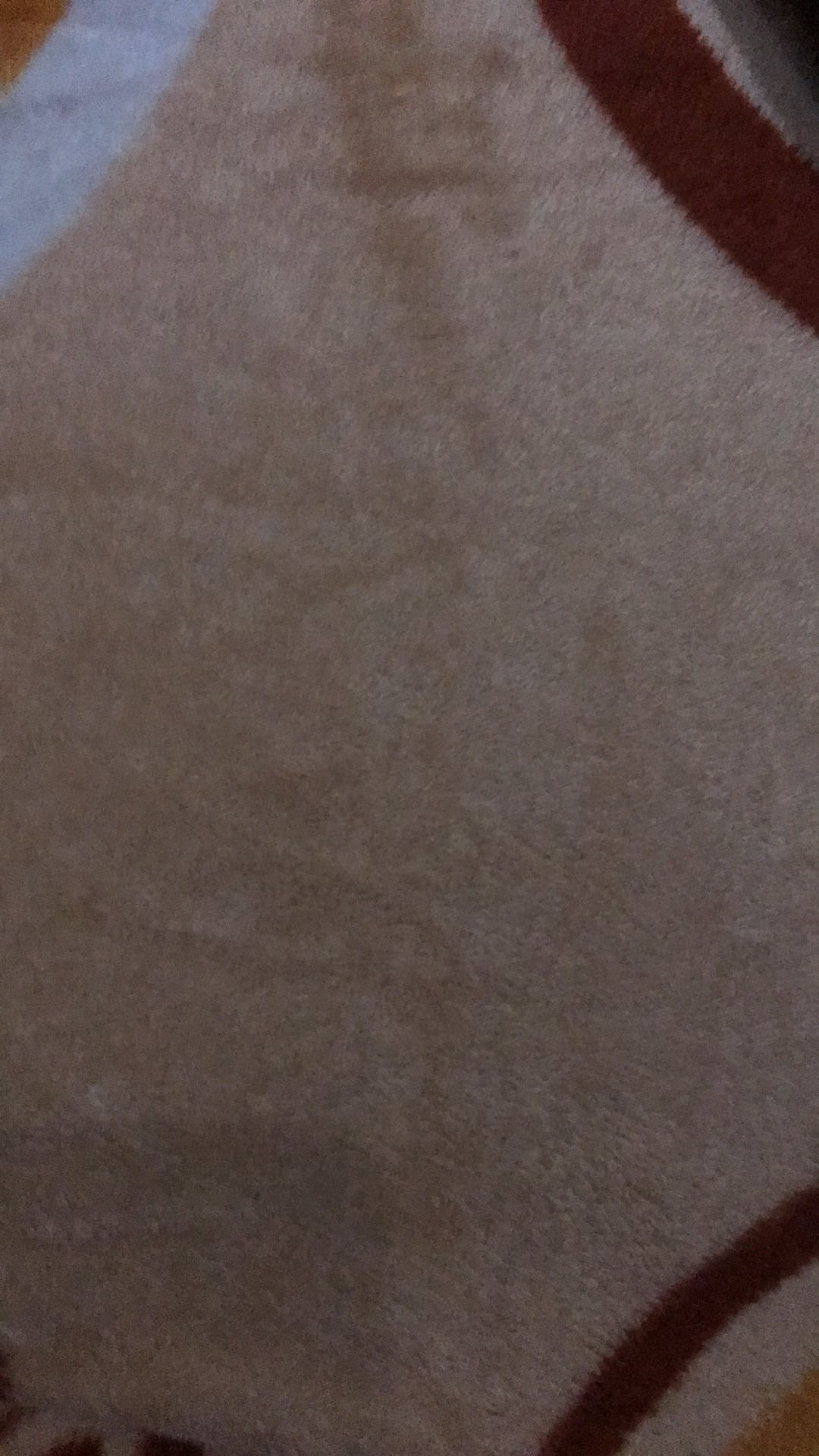 Tissue See-u Travel 50sheets 2ply