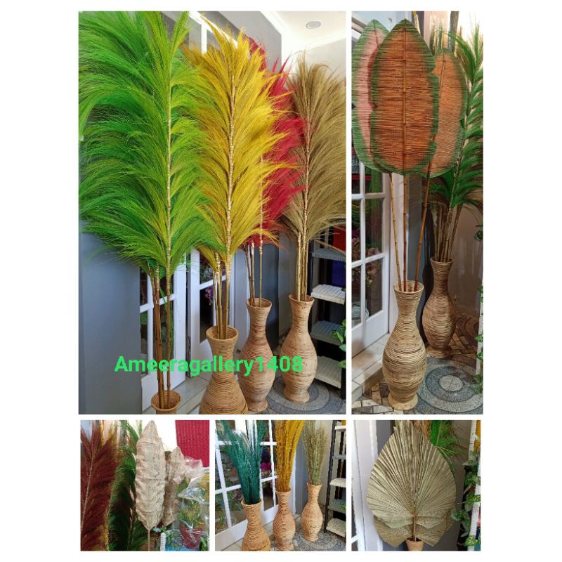 Rayung ( tanpa pot ya) / Rayung kipas / rayung pampas / banana leaf / palem kering / rayung banana