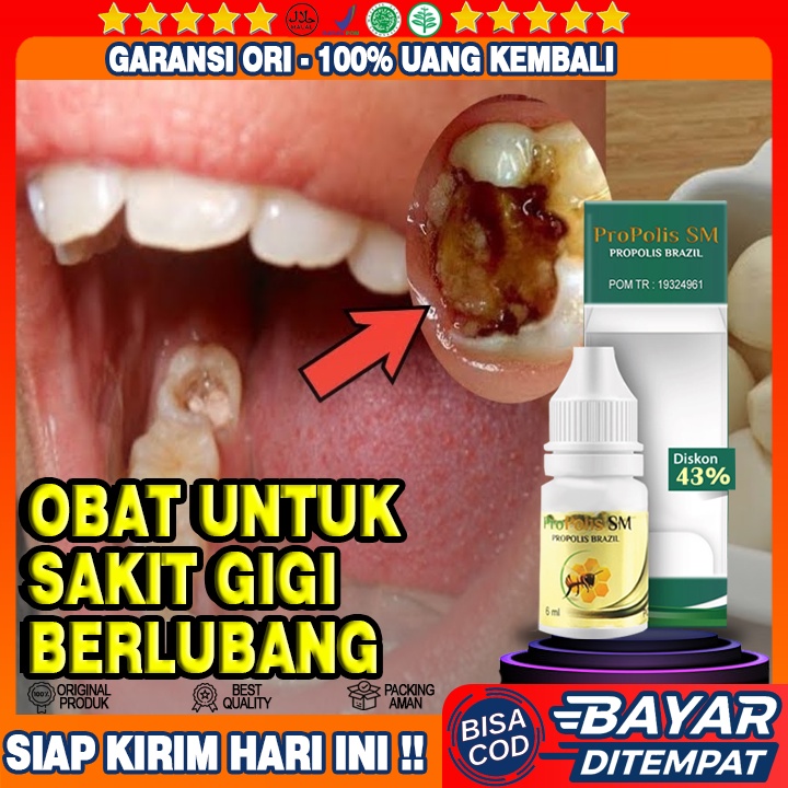 [BISA COD] Obat Sakit Gigi Berlubang, Penghilang Sakit Gigi Berlubang, Penghancur Gigi Berlubang