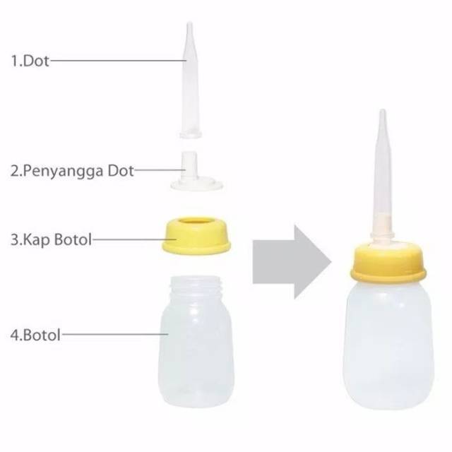 Botol pigeon khusus bibir sumbing / Botol pigeon pipet