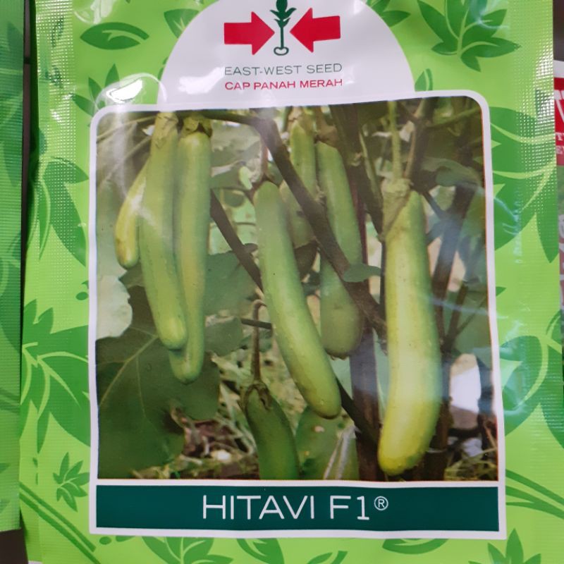 Benih Bibit Terong Hijau HITAVI F1 Cap Panah Merah