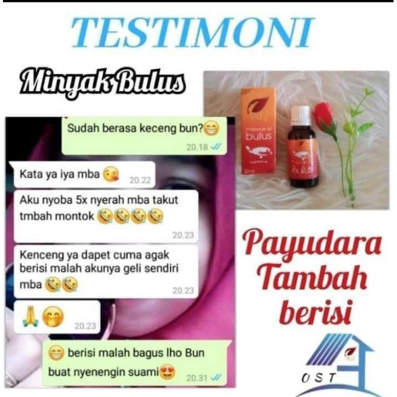 

Minyak Bulus