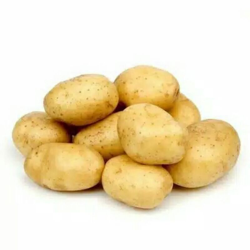 

Kentang Segar Fresh 500 Grm