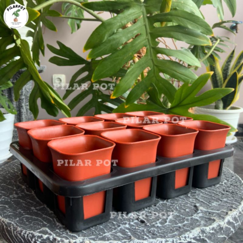 1 set Tray + pot bunga nkt kotak 5cm MERAH BATA | tray semai bibit