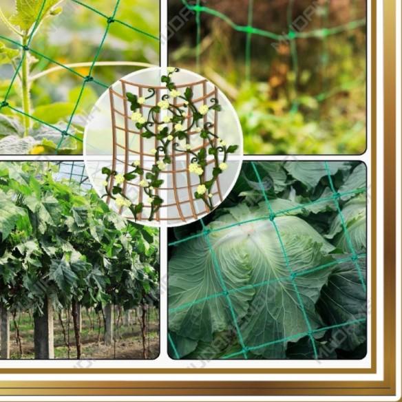 Jaring Tanaman Buah Anggur Sayuran Anti UV/Jaring Tanaman Rambat Merambat Kuat dan Tahan Cuaca