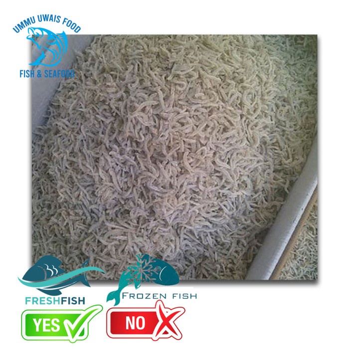 

Teri Medan Asin Berkualitas - 500 Gram