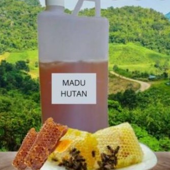 

madu hutan kalimantan