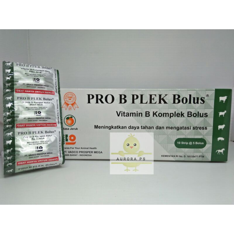 PRO B PLEK Bolus / VITAMIN B KOMPLEK RASA JERUK untuk HEWANk