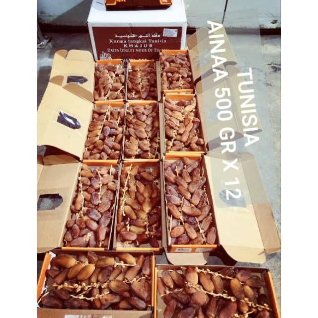 

Kurma Tunisia