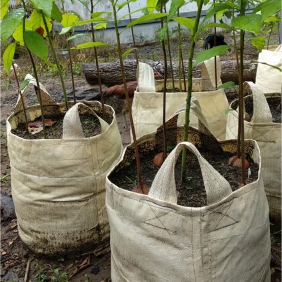 Planter Bag Planterbag Ukuran 100 Liter 50 X 50 Cm Pot Bunga Polybag Bibit Media Tanam Tabulampot