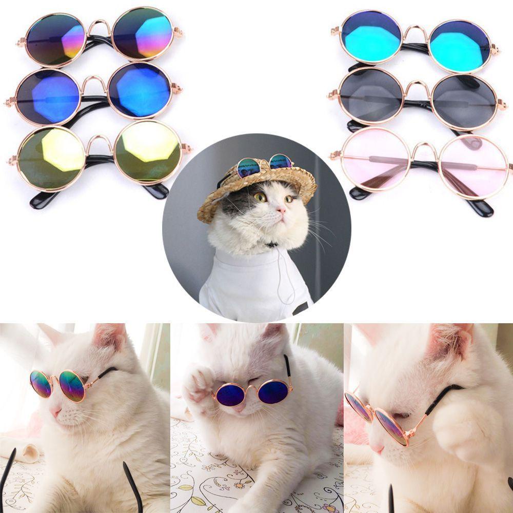 Top Kacamata Kucing Anjing Lucu Eye-wear Kitten Grooming Pet Pelindung Mata