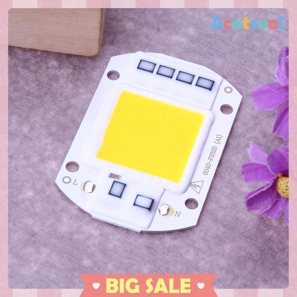 Chip Input Ic Driver Led Cob 50w 220v