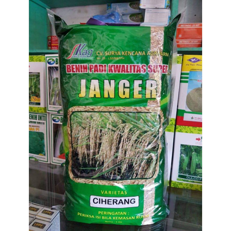 Benih Padi Ciherang Janger | 5 kg