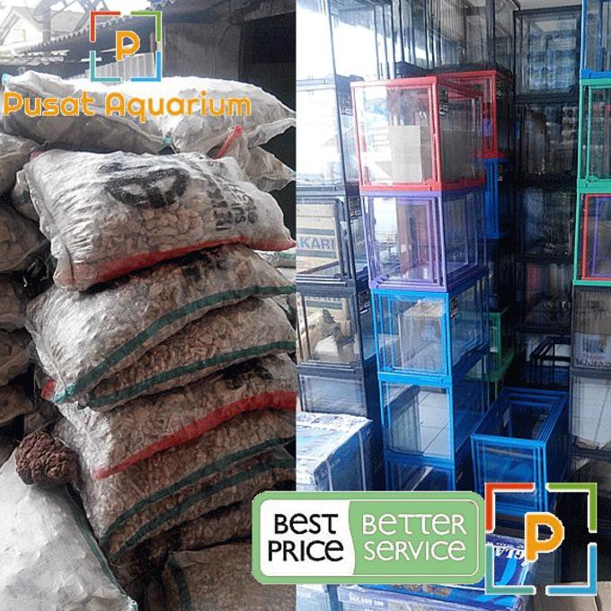 

Terbaru Asli Distributor Peralatan Aquarium & Aquascape Murah Original Profesi Kualitas Nomor Satu