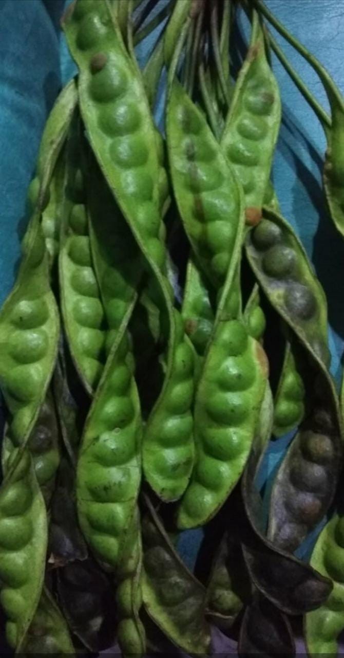 Two Mix Dress Anak Fashion Motif Batik Usia 1-12 Tahun Y864