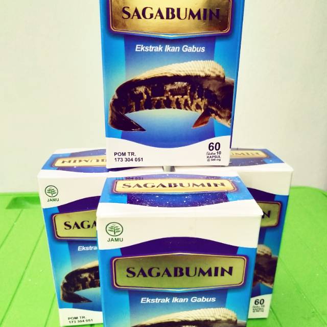 

Albumin ekstrak ikan gabus