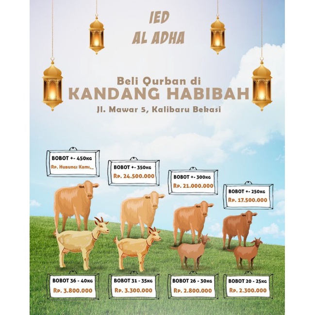 

Kambing Qurban